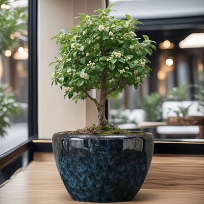 Blomkruka - 2 Olika Färger