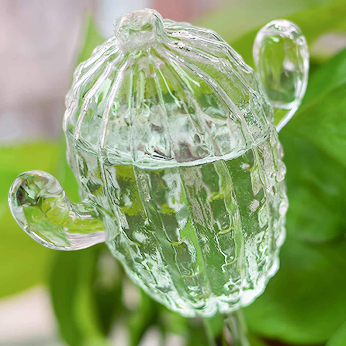 Kaktus Självbevattning - 24.5cm - CC Krukan