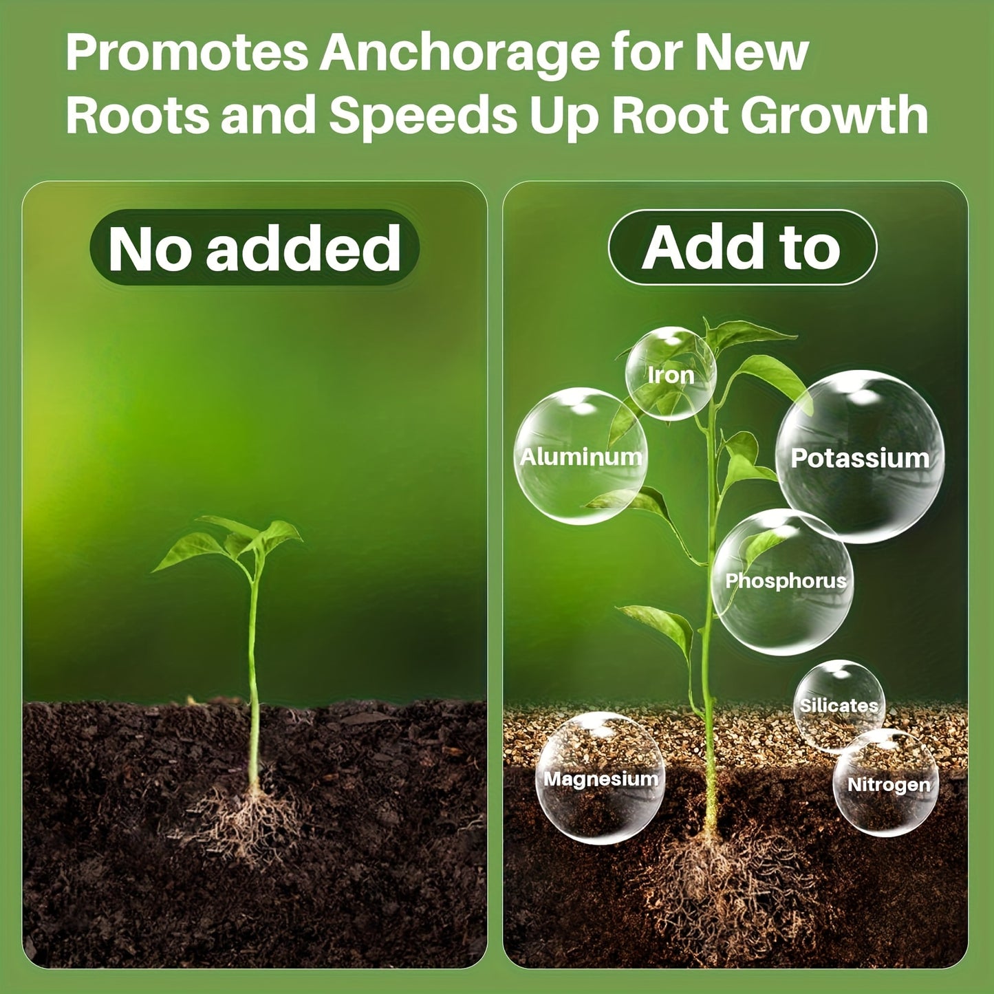 Professionell Perlit Sten