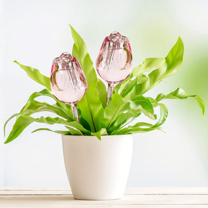 2st Självvattande ros