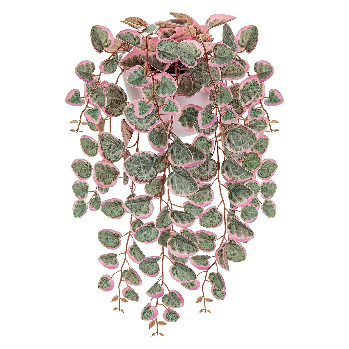1pk-1/3/4st Ceropegia Woodii-Växt - 47cm - 2 Olika Färger - CC Krukan