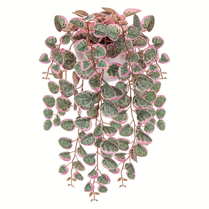 1pk-1/3/4st Ceropegia Woodii-Växt - 47cm - 2 Olika Färger - CC Krukan