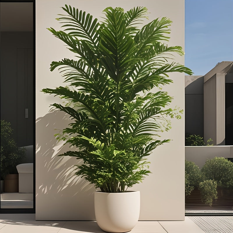 Palmväxt - 73cm - CC Krukan
