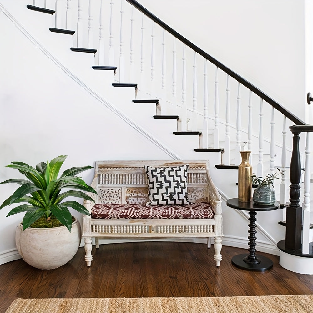 Drakblod Växt - 56cm - CC Krukan