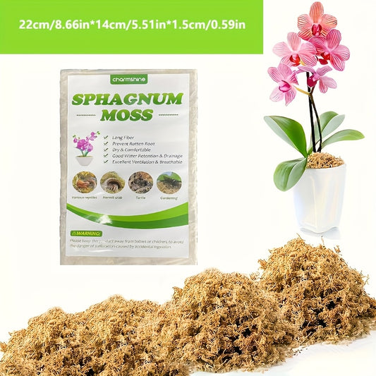 50/100g Chilenskt Mossa - CC Krukan