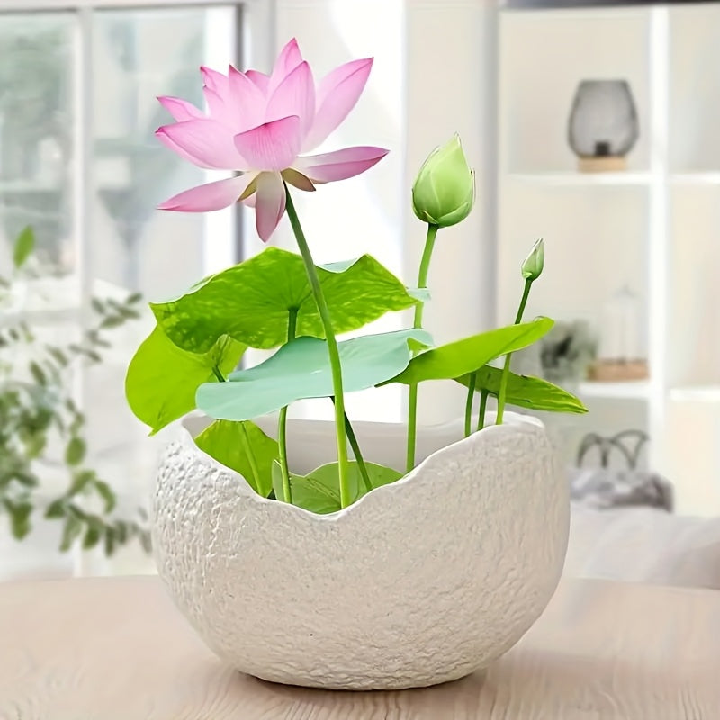 Blomkruka - 2 Olika Färger