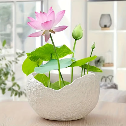 Blomkruka - 2 Olika Färger