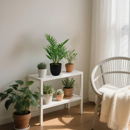 Bambu Palmväxt - 42cm - CC Krukan