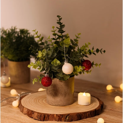 1pk-4st Eukalyptus Växt - 13/25cm - CC Krukan