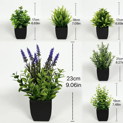 6st Blomkrukor + Växt