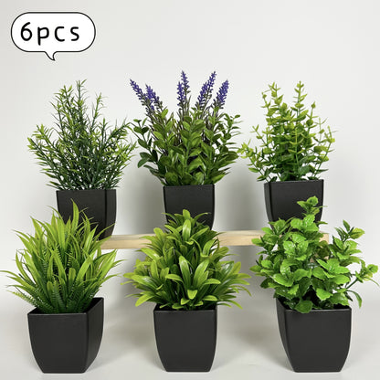 6st Blomkrukor + Växt