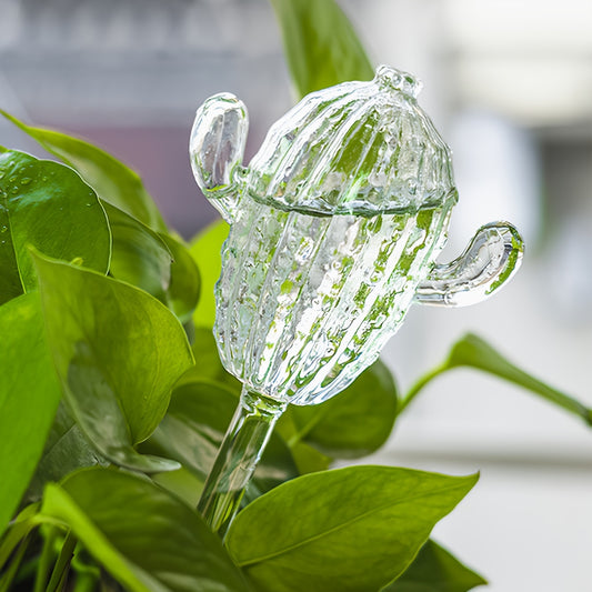 Kaktus Självbevattning - 24.5cm - CC Krukan