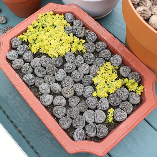 1pk-20st Lyckoklöver Smullstenar - Fyrklöver -  2cm - CC Krukan