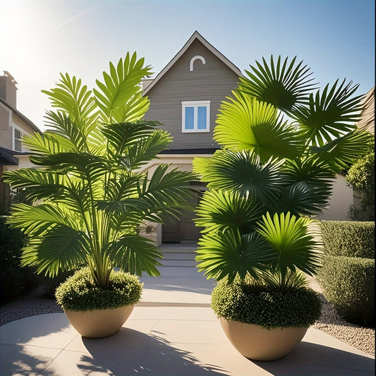 1pk-2st Olika Palmträd - 80cm - CC Krukan