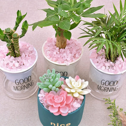 50/100g Rosékvarts Polerade Stenar - 0,5-0,9cm - CC Krukan