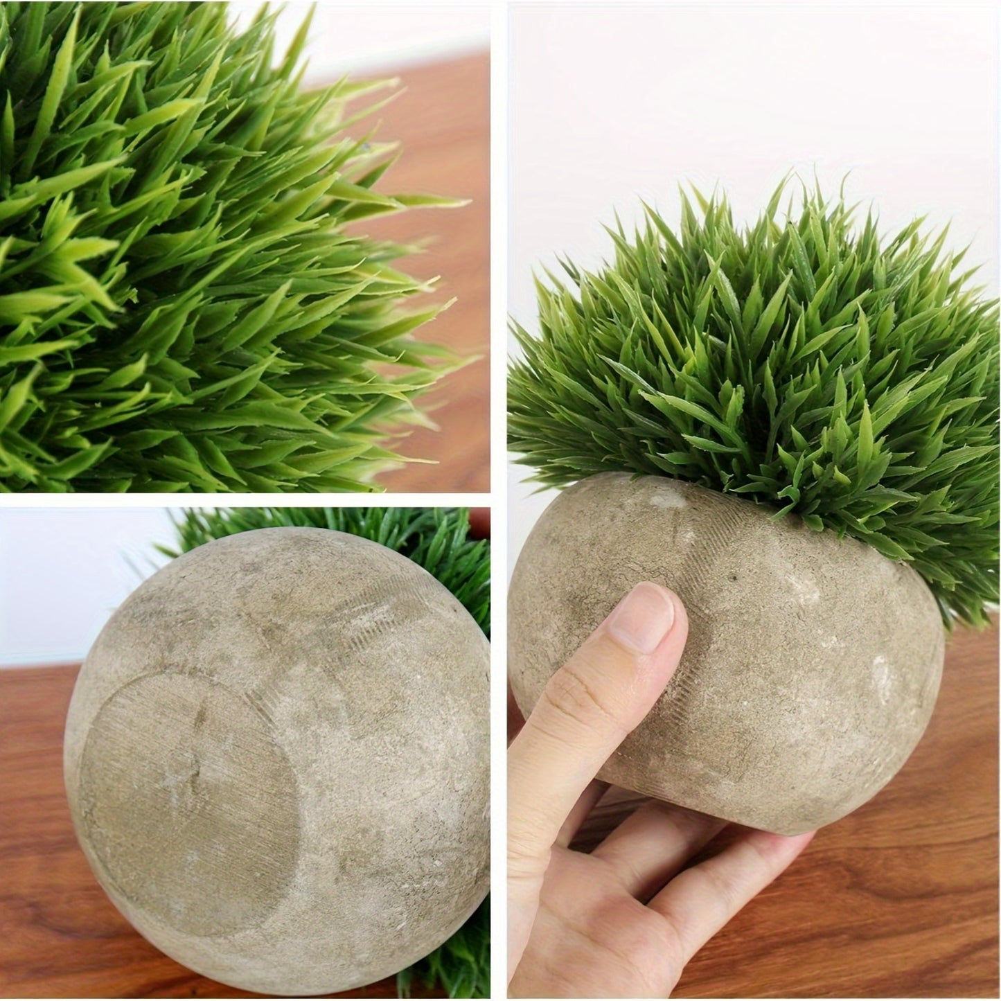 1pk-4st Eukalyptus Växt - 13/25cm - CC Krukan