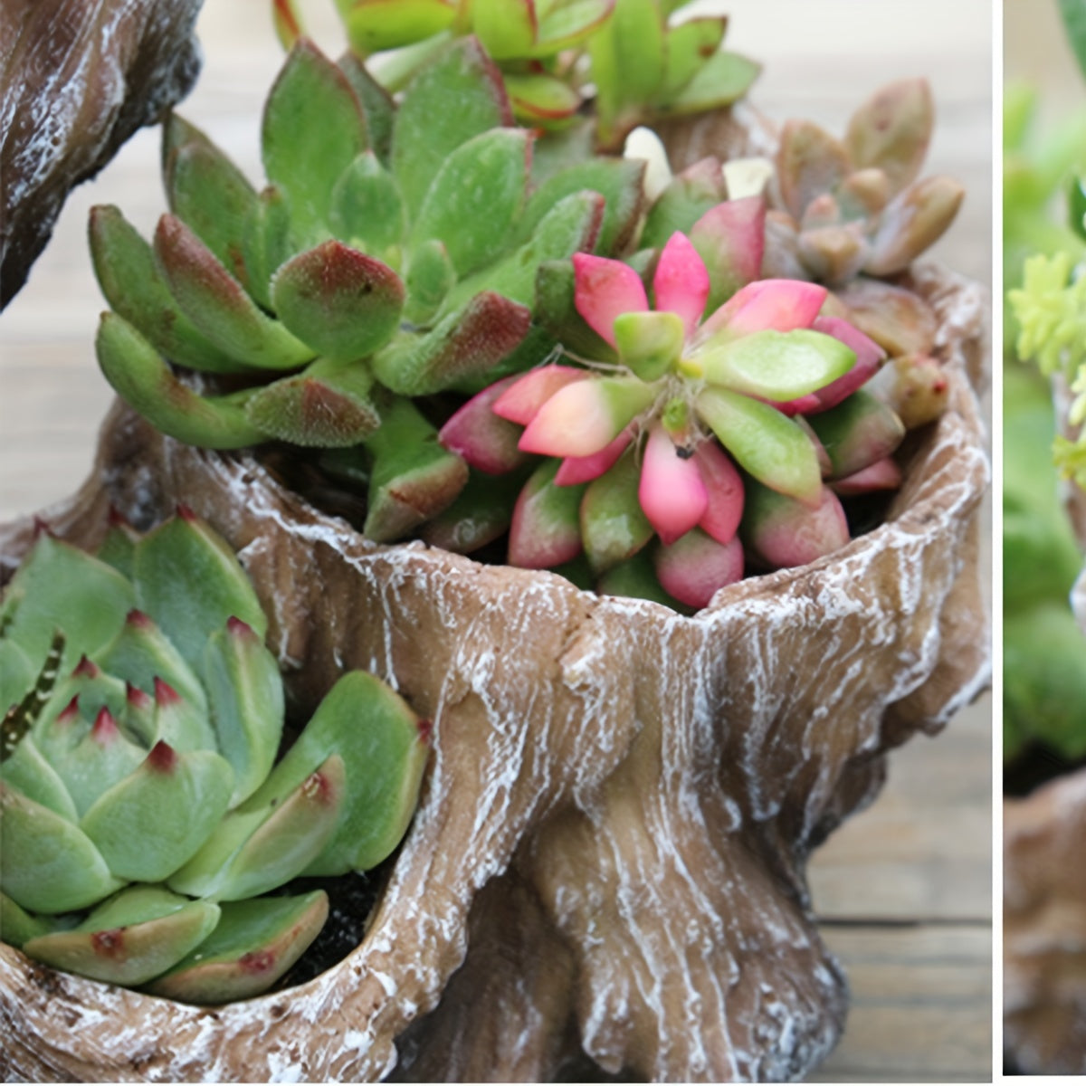 Blomkruka - 3 Olika Färger