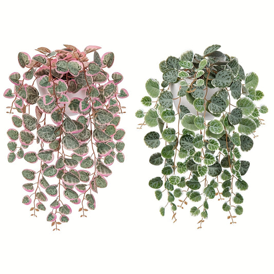 1pk-1/3/4st Ceropegia Woodii-Växt - 47cm - 2 Olika Färger - CC Krukan