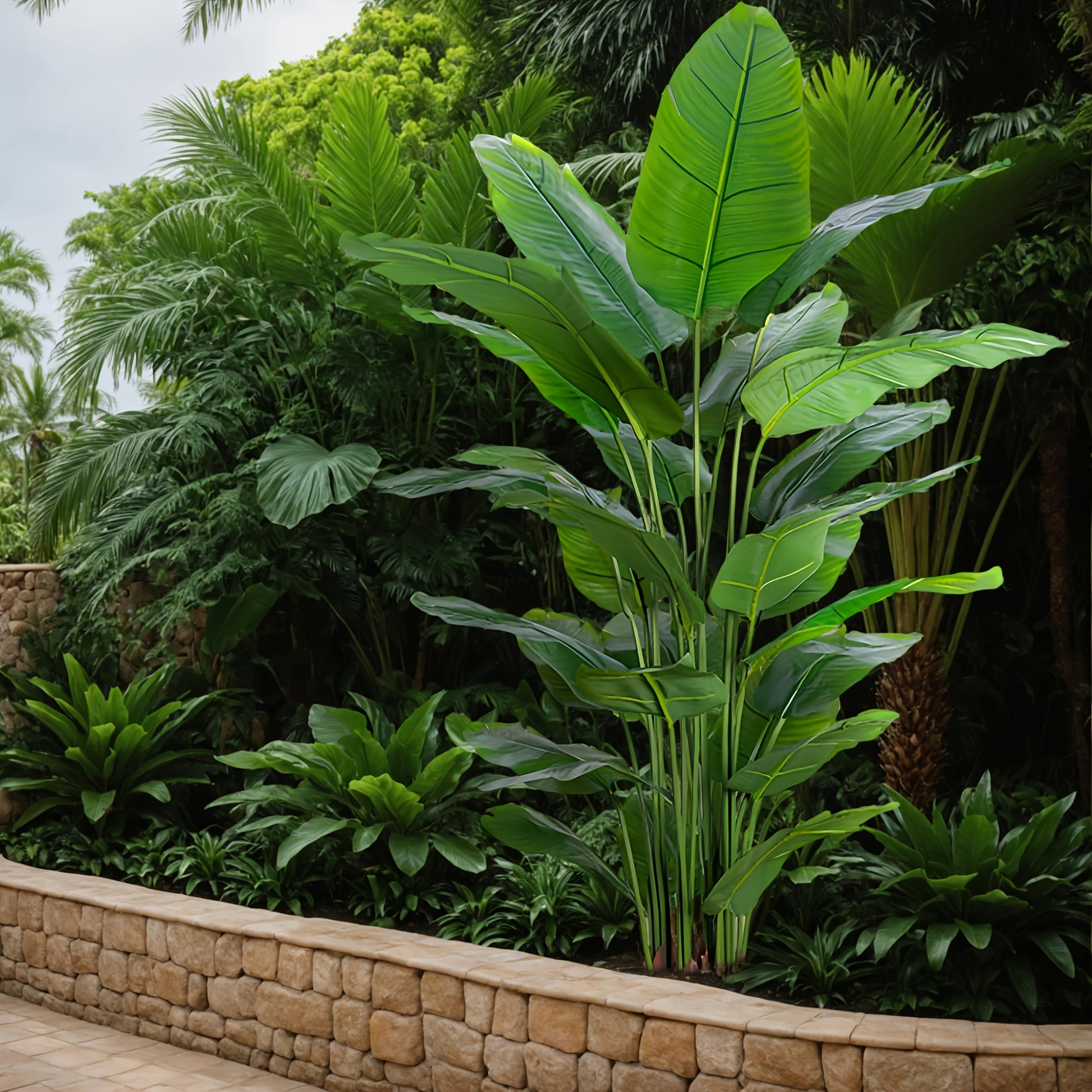 Paradis Palmväxt - 125cm - CC Krukan