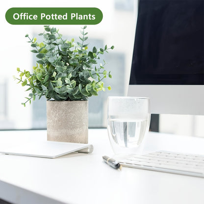 1pk-3st Eucalyptus Växter - 20/22/23cm - CC Krukan