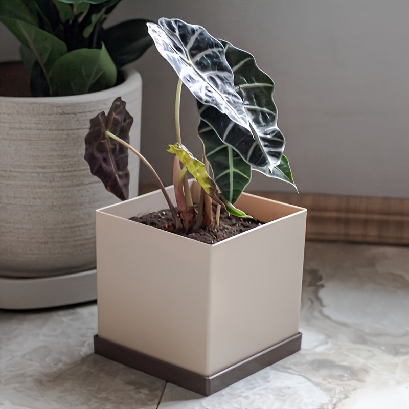 Fyrkantiga Blomkruka med Bricka - 20cm - CC Krukan