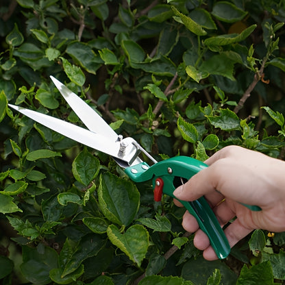 1pk-5st Planteringsverktyg - 17/22,5/25/25/31cm - CC Krukan