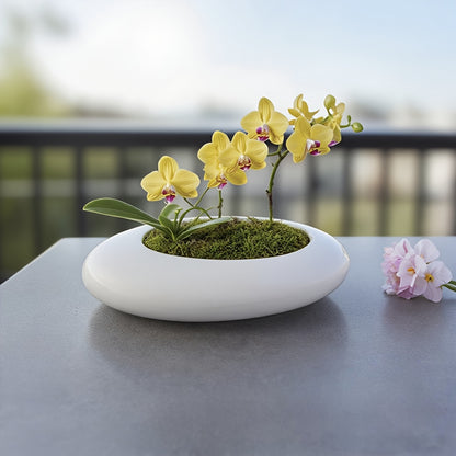 Blomkruka - 2 Olika Färger