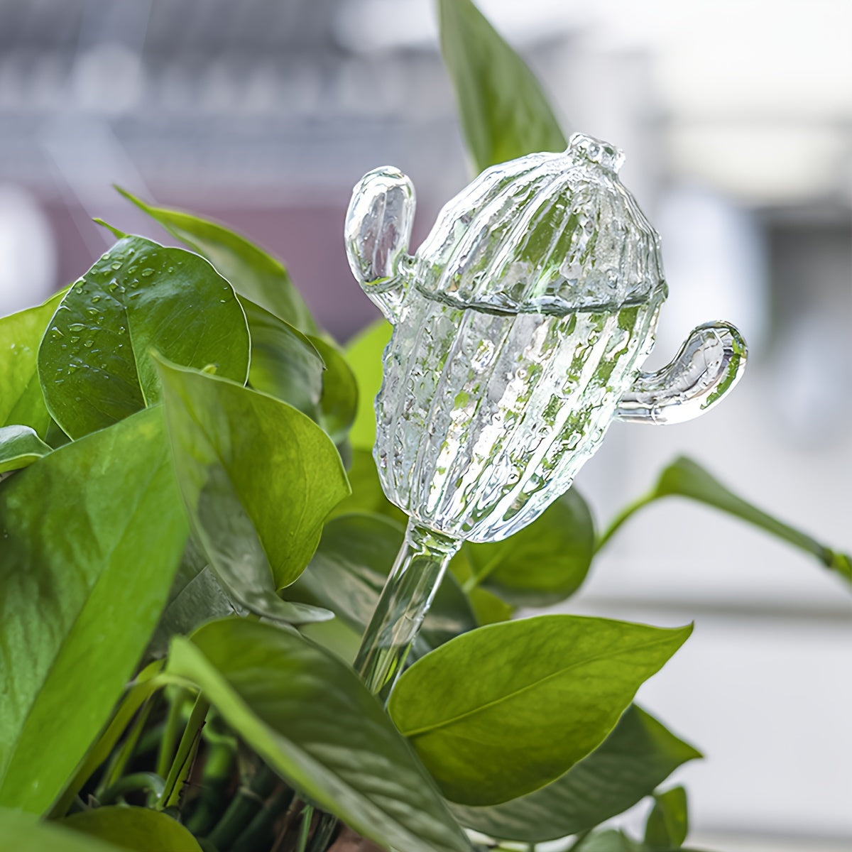 Kaktus Självbevattning - 24.5cm - CC Krukan