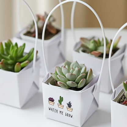 40st Blomkrukor - 2 Olika Färger