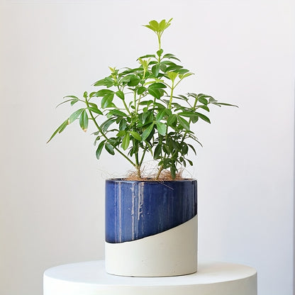 Blomkruka - 2 Olika Färger