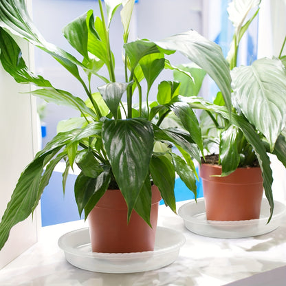 1pk-4st Brickor - 13/15cm - CC Krukan