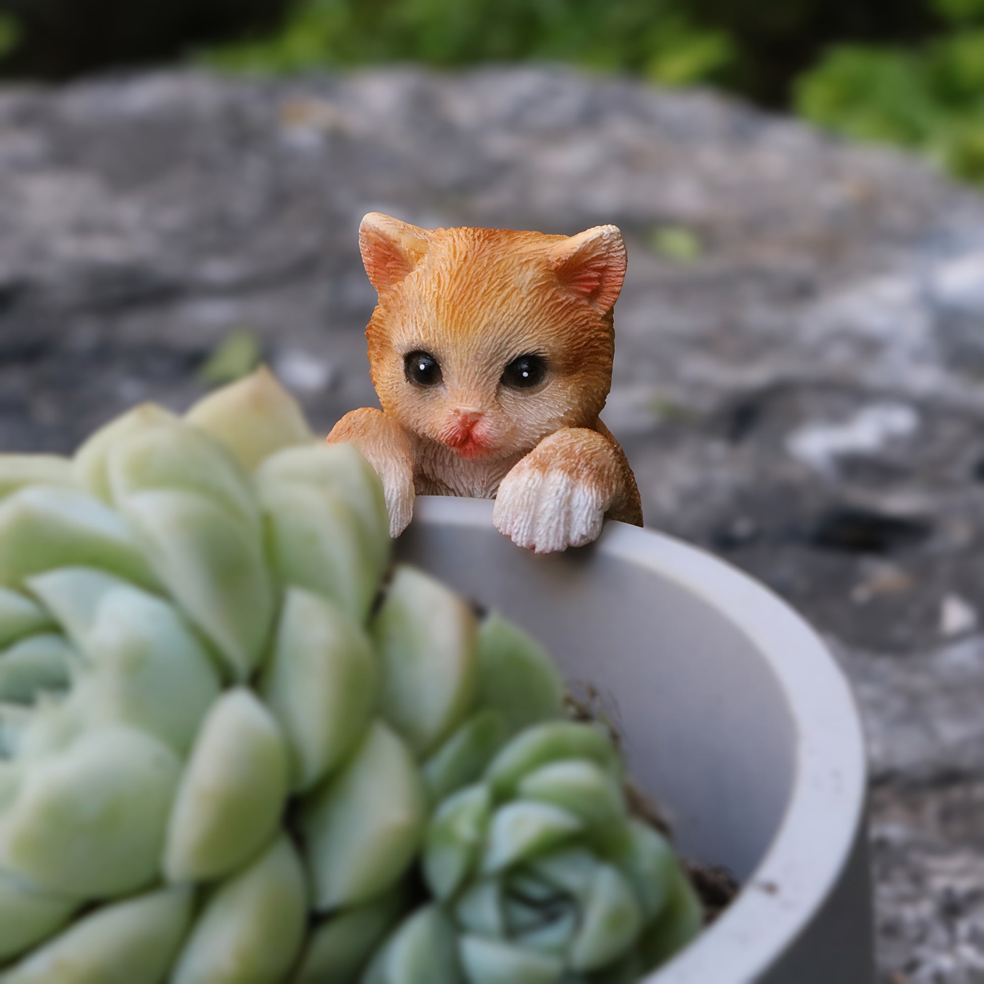 1pk-3st Kattungar - 7cm - CC Krukan