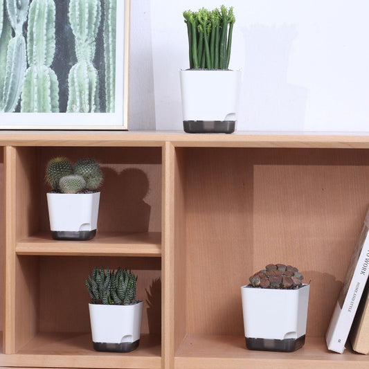 1pk-5st Blomkruka med bricka - 8cm - CC Krukan