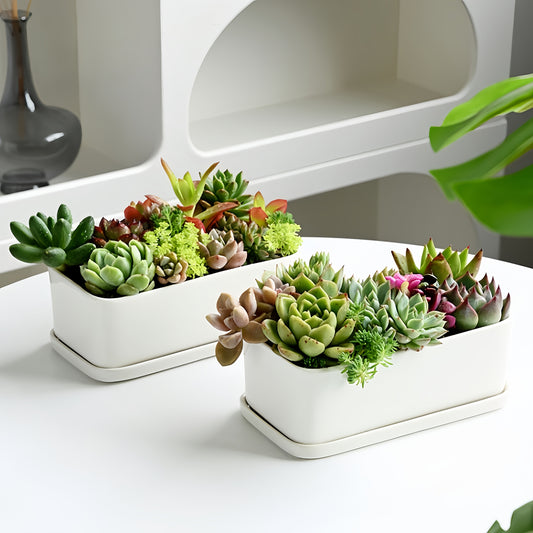 Blomkruka med Bricka - CC Krukan