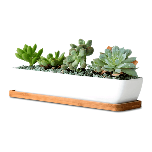 Blomkruka med Bricka - CC Krukan