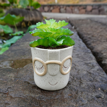 Ansikte med Glasögon Blomkruka - 11cm - CC Krukan