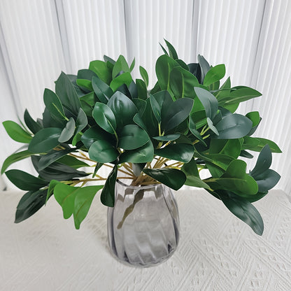 1pk-4st Eucalyptus Stjälkar - 32cm - CC Krukan