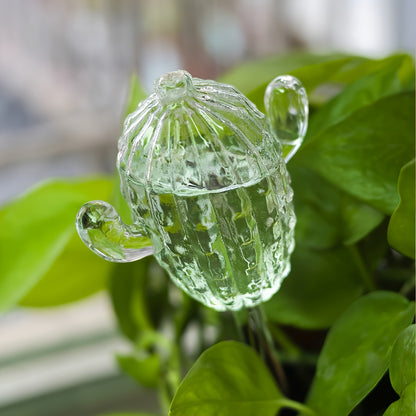 Kaktus Självbevattning - 24.5cm - CC Krukan