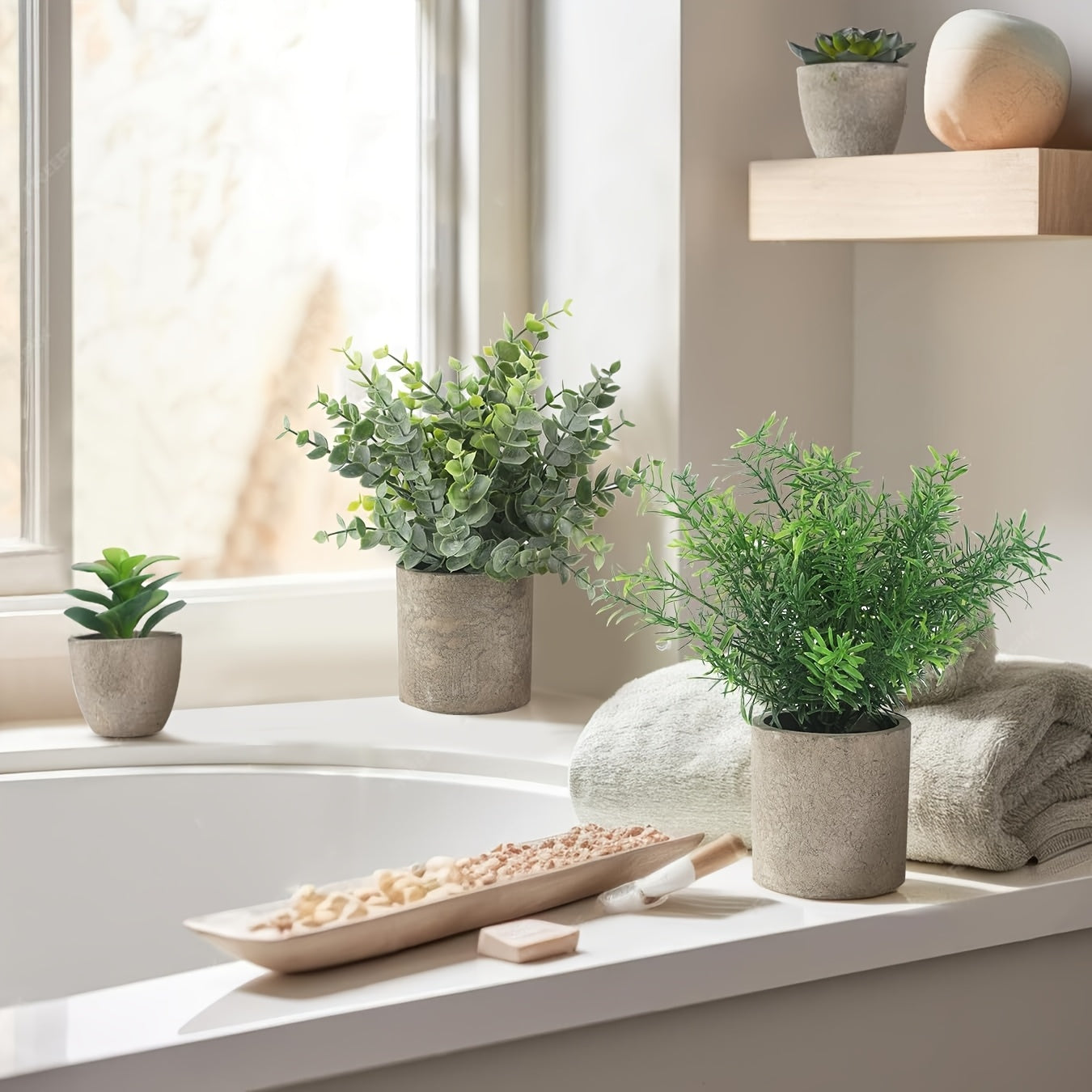 1pk-4st Eukalyptus Växt - 13/25cm - CC Krukan