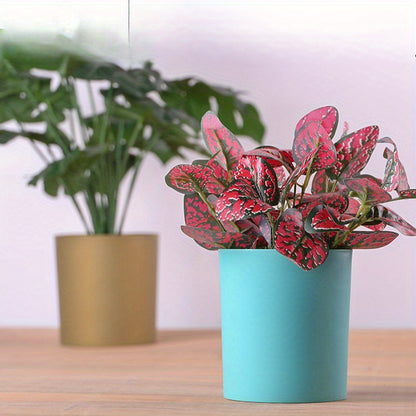 Blomkruka - 4 Olika Färger