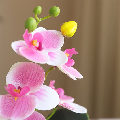 Blomma - 4 Olika Färger