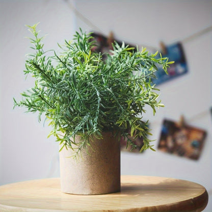 1pk-4st Eukalyptus Växt - 13/25cm - CC Krukan