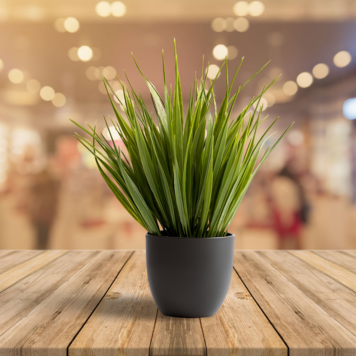 1pk-2/4/10st Salvia Gräs - 20cm - CC Krukan