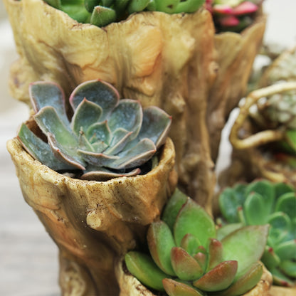 Blomkruka - 3 Olika Färger