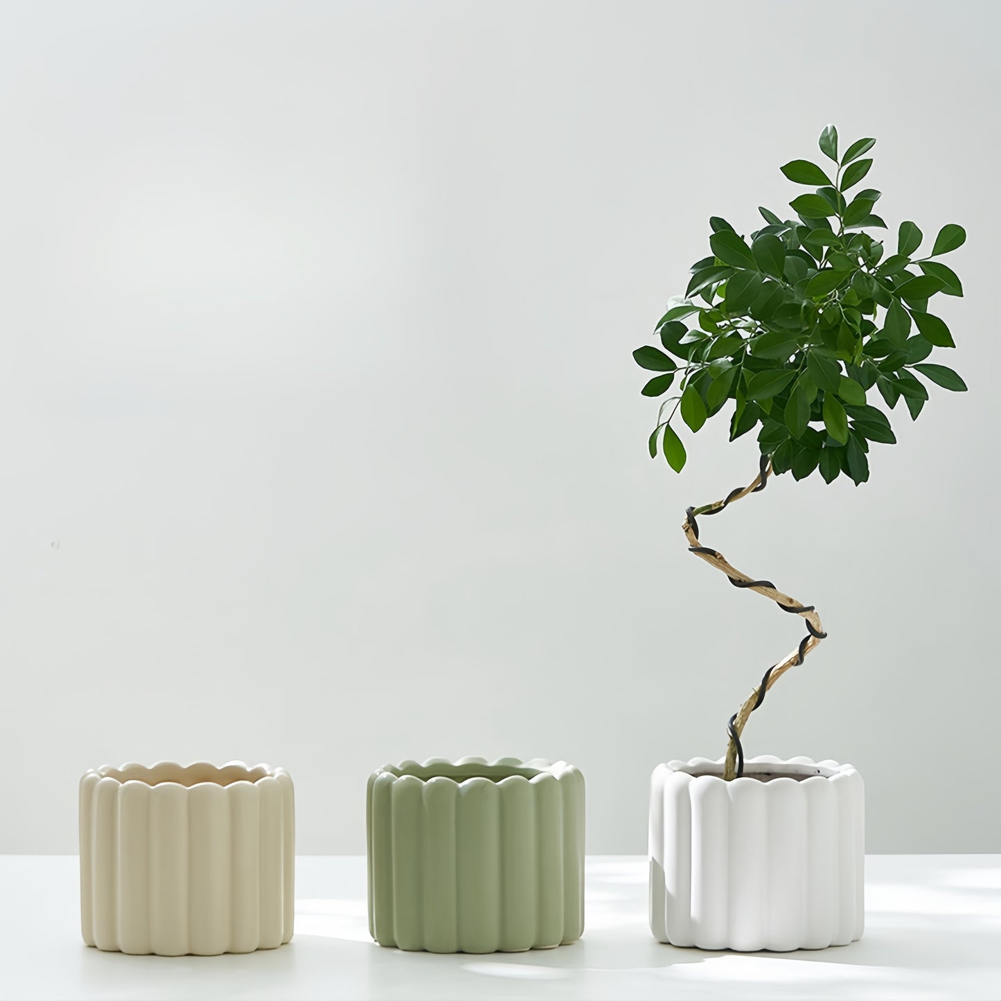 Blomkruka - 2 Olika Färger