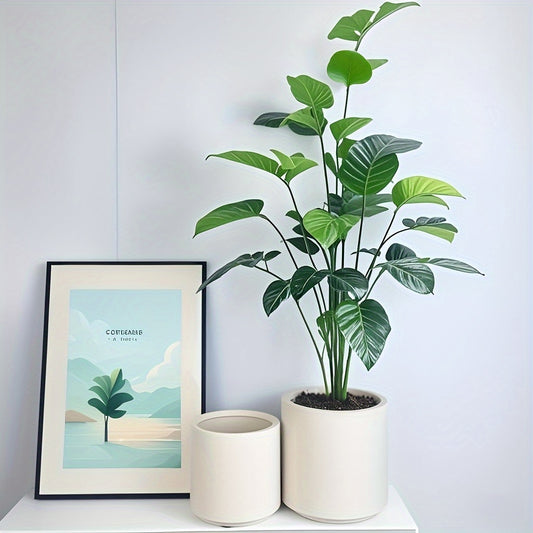 2st Blomkruka - 5 Olika Färger