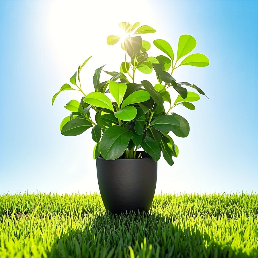 Grön Bladväxt - 33cm - CC Krukan