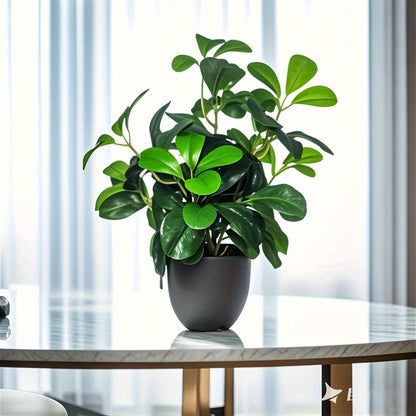 Grön Bladväxt - 33cm - CC Krukan