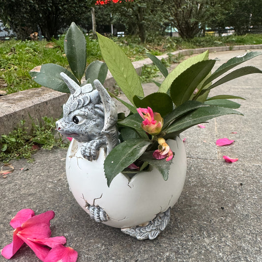 Drak Egg Blomkruka - 13cm - CC Krukan