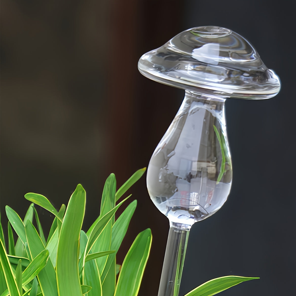 Svamp eller Svanformad Självbevattning - 26cm - 2 Olika Modeller - CC Krukan